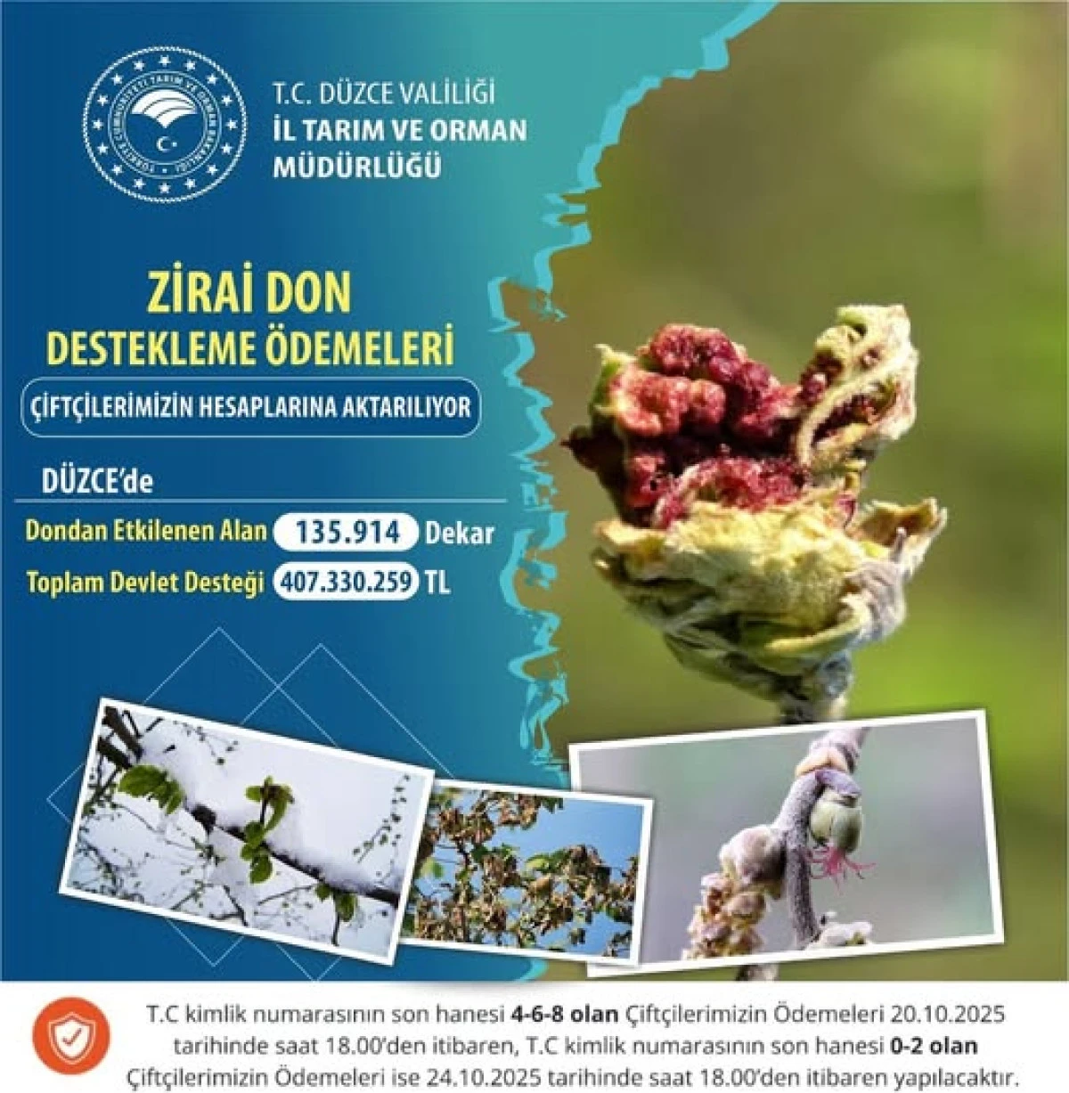 DÜZCE YE ZİRAİ DON DESTEĞİ