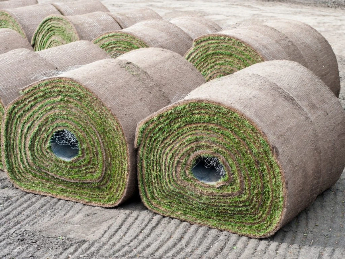 D&uuml;zce'de 9500m&sup2; rulo &ccedil;im alınacak