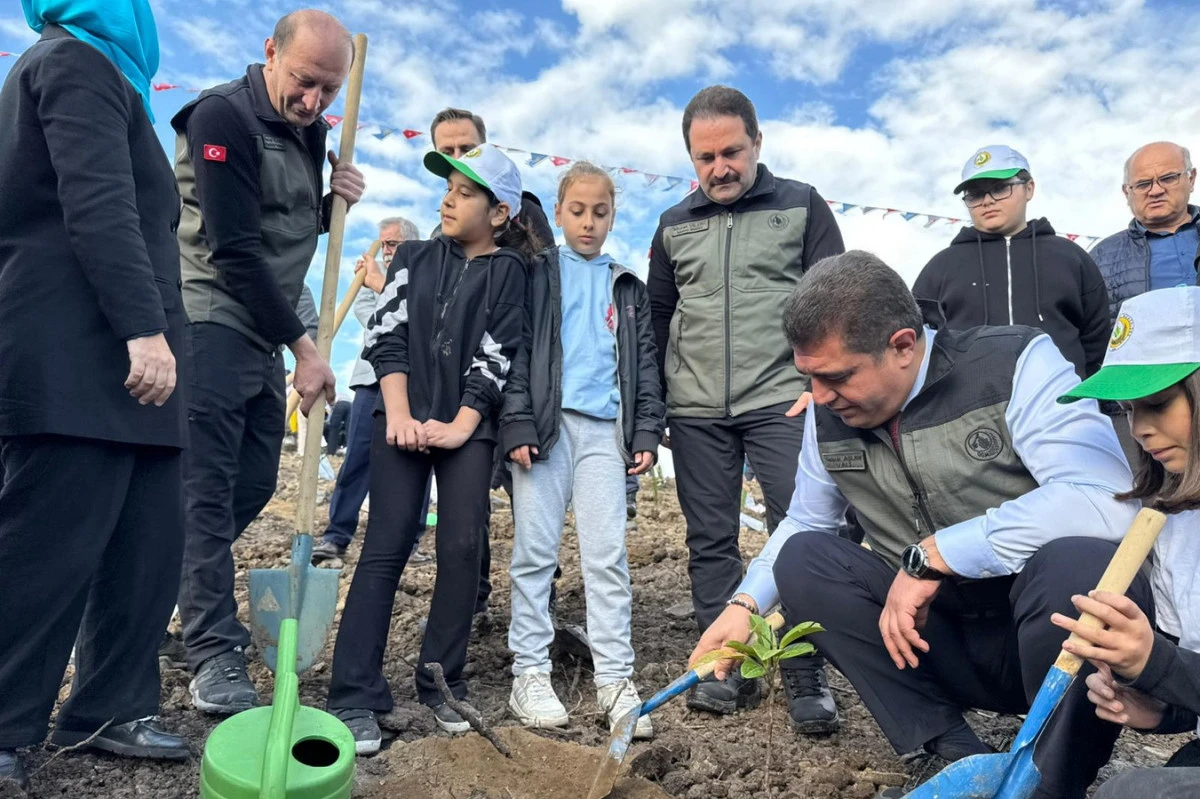 Düzce’de binlerce fidan yanan ormanlık alanlara nefes oldu.