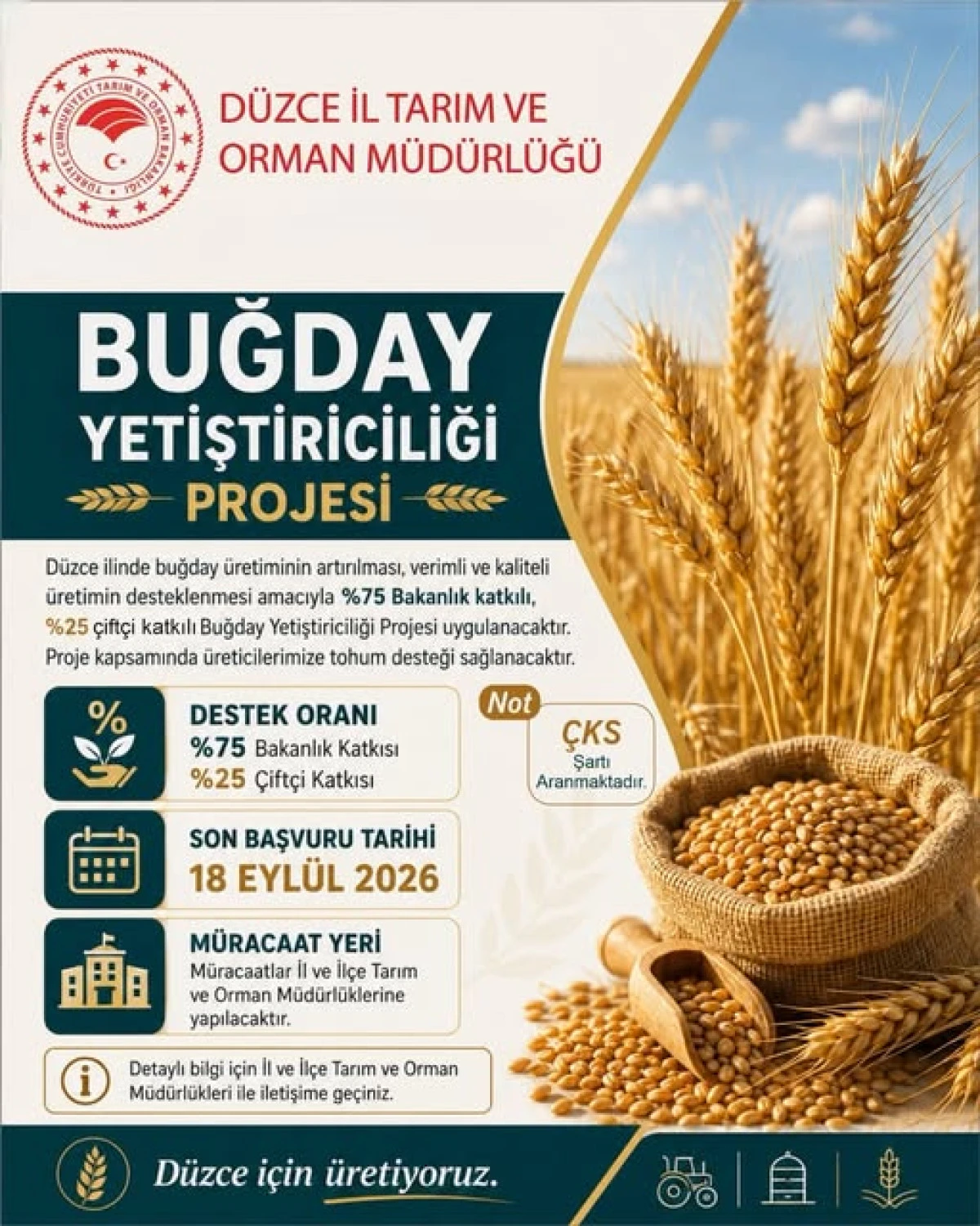 D&uuml;zce'de &Ccedil;ift&ccedil;ilere %75 Hibe Destekli Buğday Tohumu M&uuml;jdesi