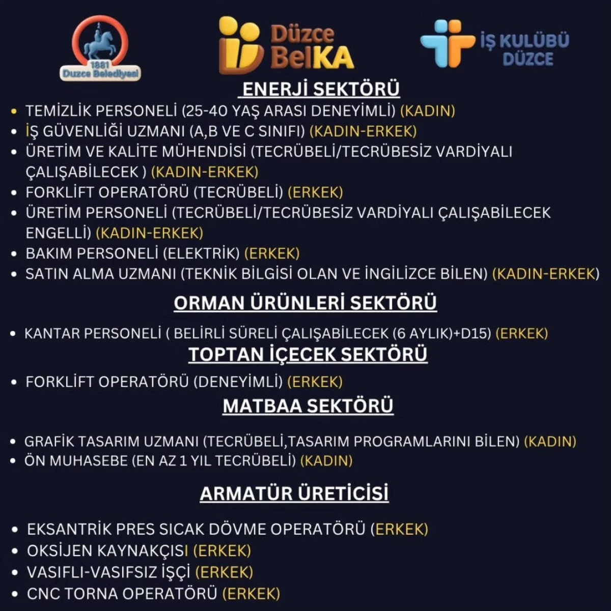 D&Uuml;ZCE&rsquo;DE FARKLI SEKT&Ouml;RLERDE İŞ FIRSATLARI: &Ccedil;OK SAYIDA PERSONEL ALINACAK