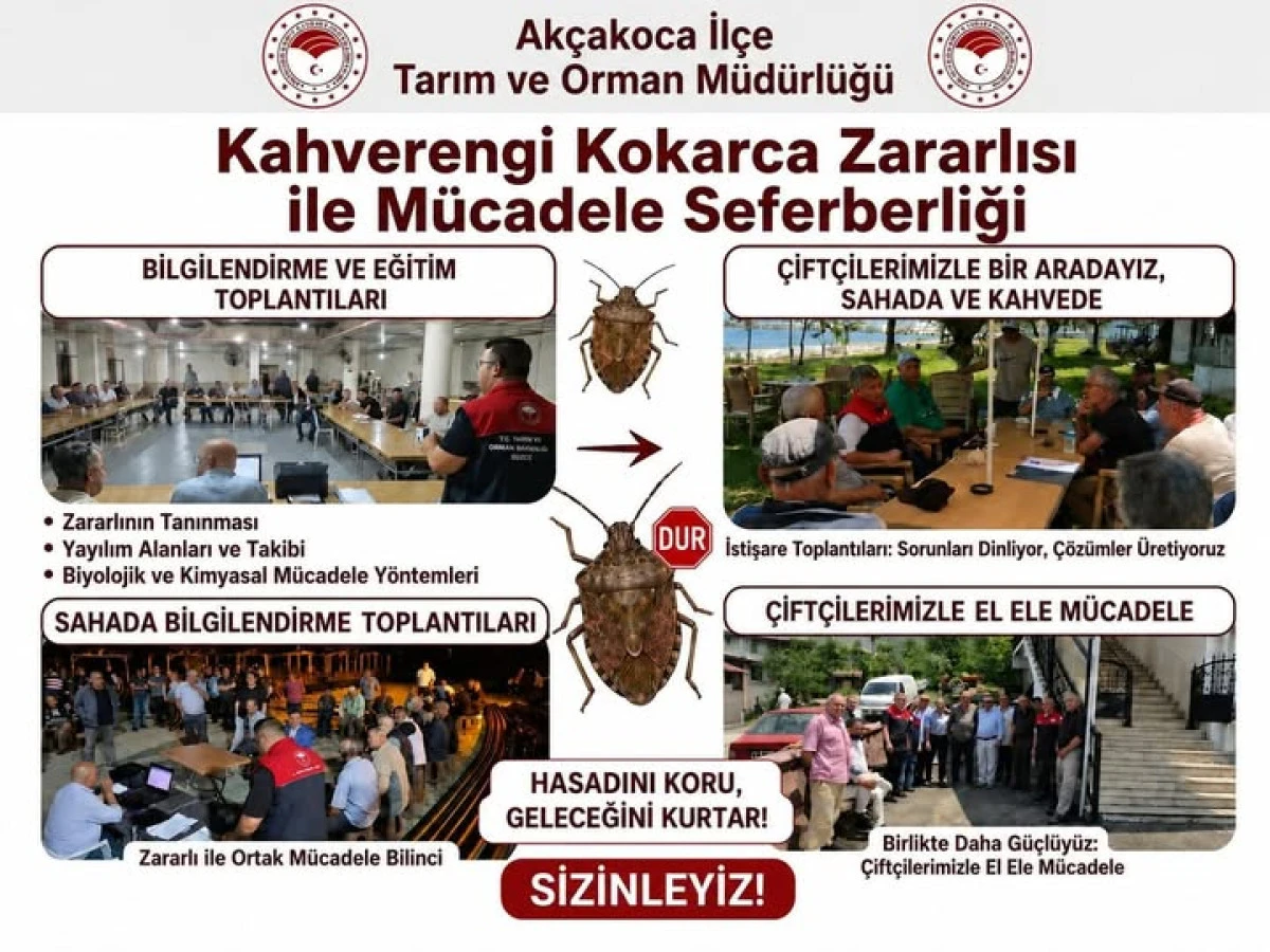 D&uuml;zce&rsquo;de Kahverengi Kokarca ile M&uuml;cadele Seferberliği