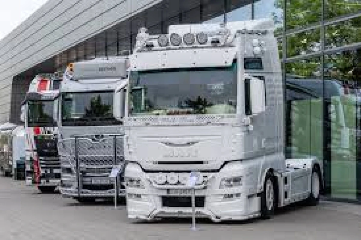 D&uuml;zce'de MAN marka kamyon icradan satılacak