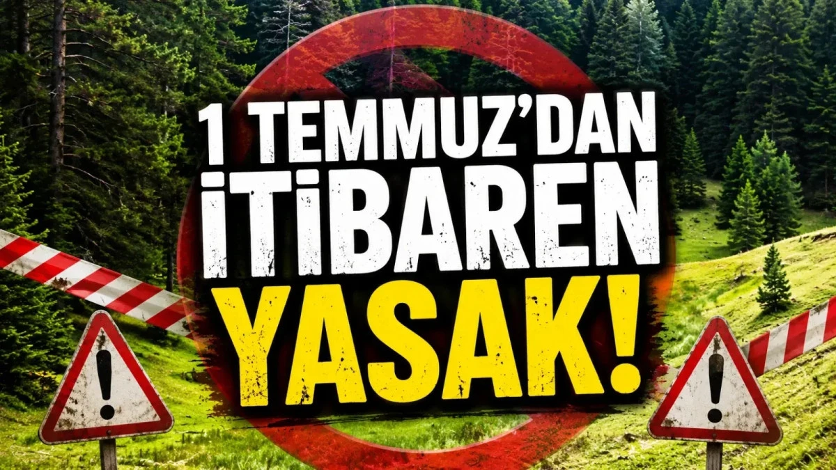 D&Uuml;ZCE&rsquo;DE ORMANLARA GİRİŞ YASAĞI BAŞLIYOR!