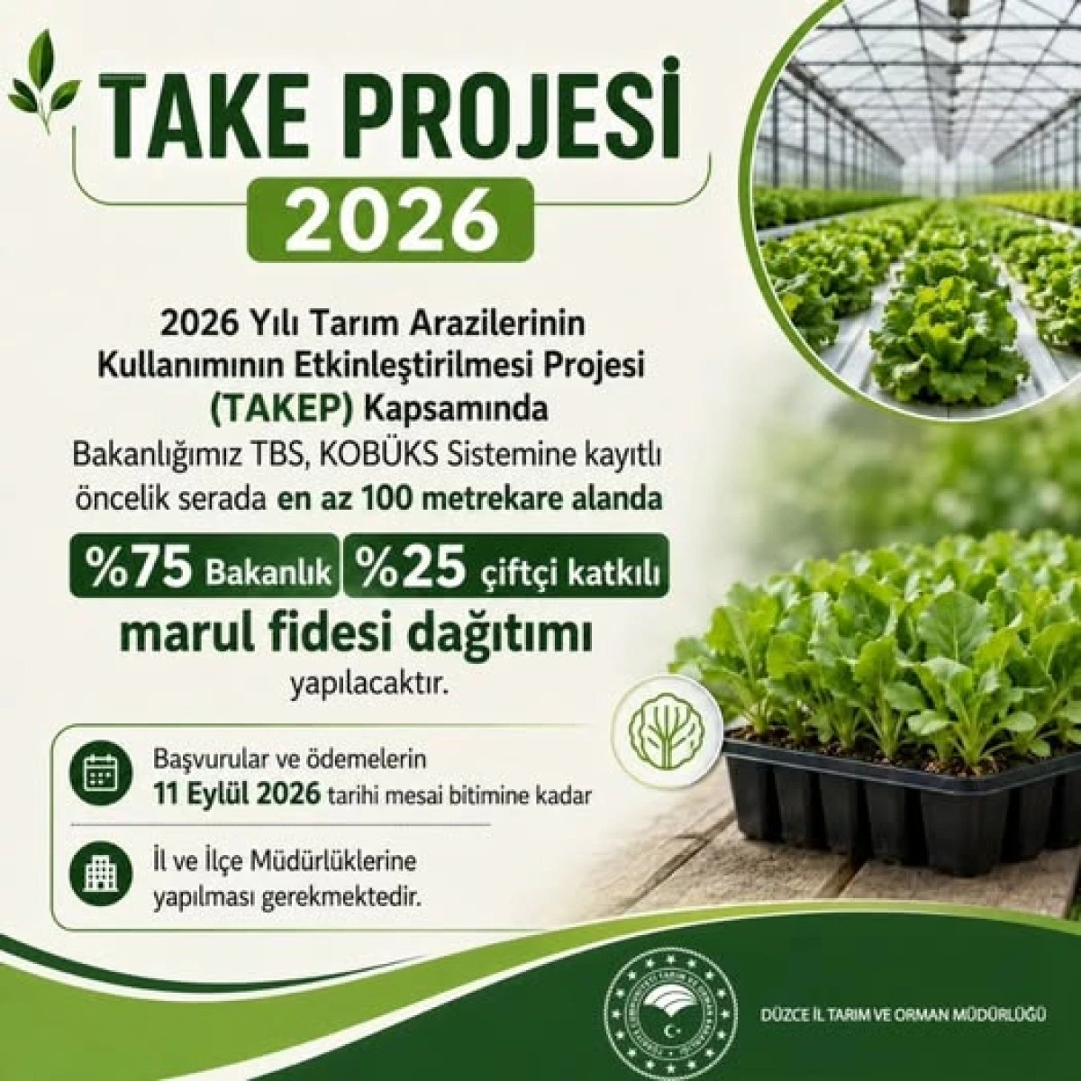 D&uuml;zce&rsquo;de TAKEP 2026 Başvuruları Başladı: &Ccedil;ift&ccedil;iye Y&uuml;zde 75 Bakanlık Destekli Marul Fidesi