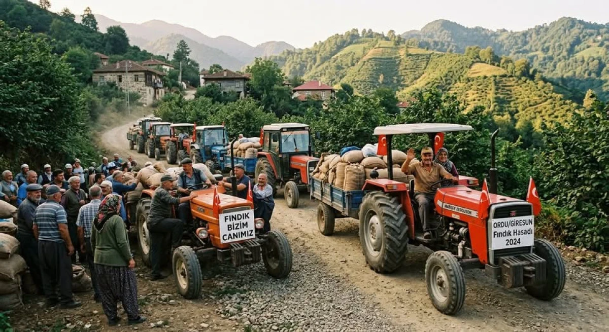 Fındık &uuml;reticisi trakt&ouml;rlerle yola &ccedil;ıkacak