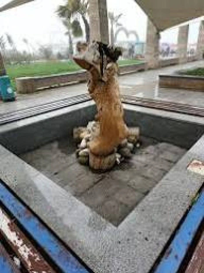 FISKİYELERDEN SULAR NE ZAMAN AKACAK