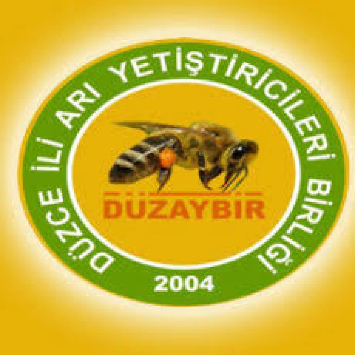 Genel kurul toplantısına davet
