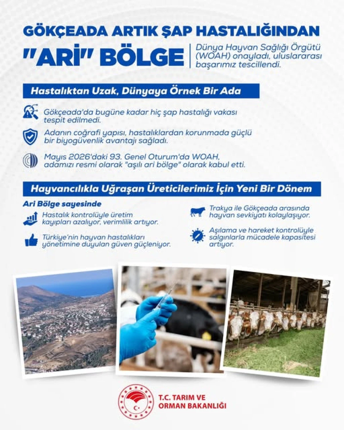 G&ouml;k&ccedil;eada&rsquo;ya Uluslararası Tescil: &ldquo;Aşılı Ari B&ouml;lge&rdquo; İlan Edildi