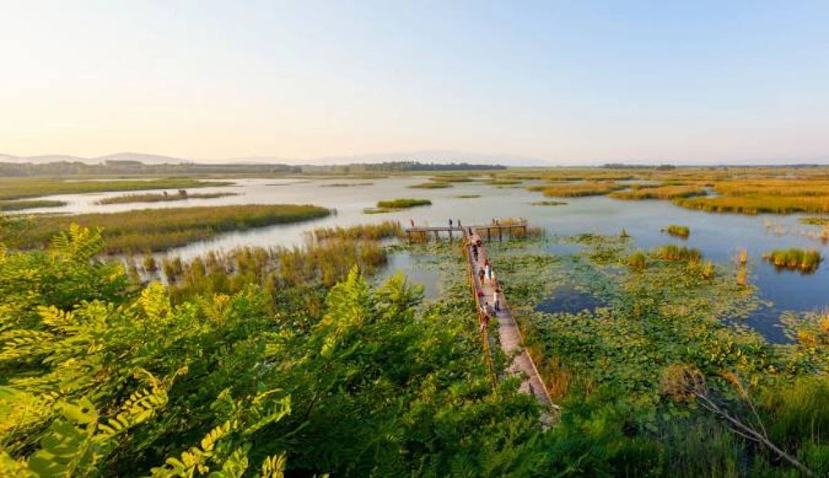 G&ouml;l revize y&ouml;netim planı hizmeti alınacak