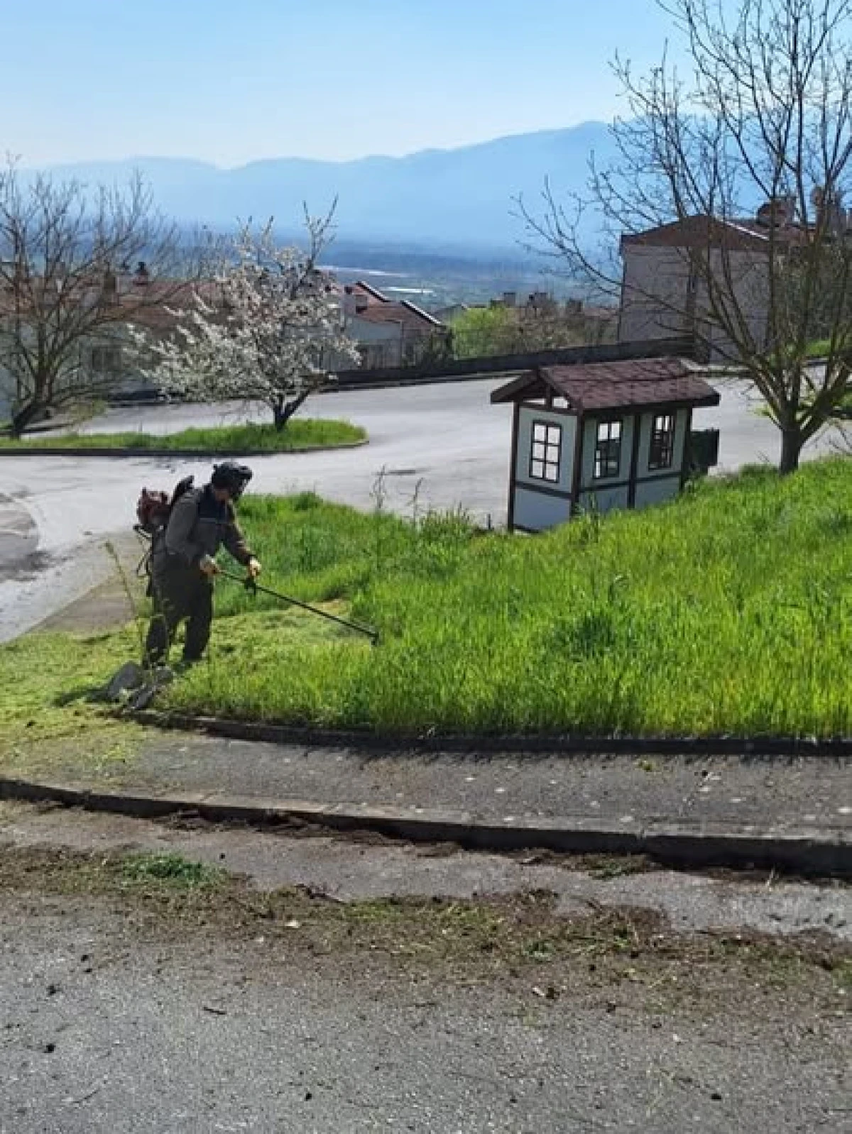 G&Ouml;LYAKA DA YOĞUN MESAİ: BELEDİYE EKİPLERİ SAHADA
