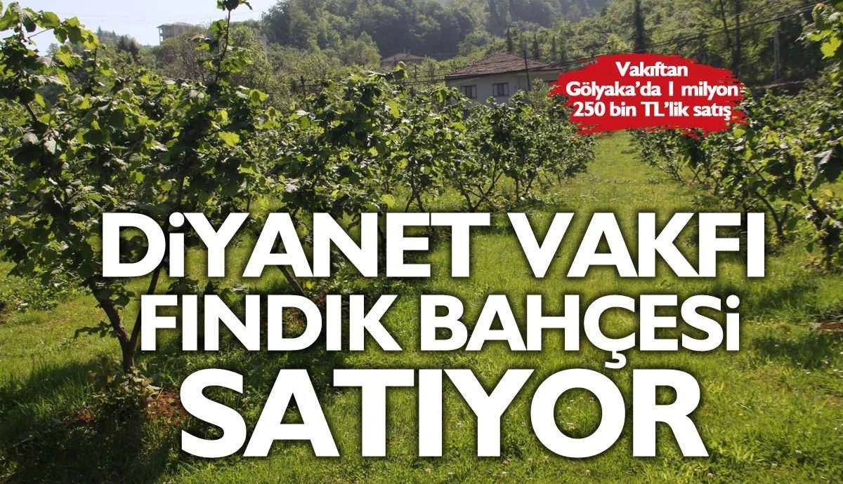 G&ouml;lyaka'da Fındık Bah&ccedil;esi Diyanet Vakfından Satılacaktır