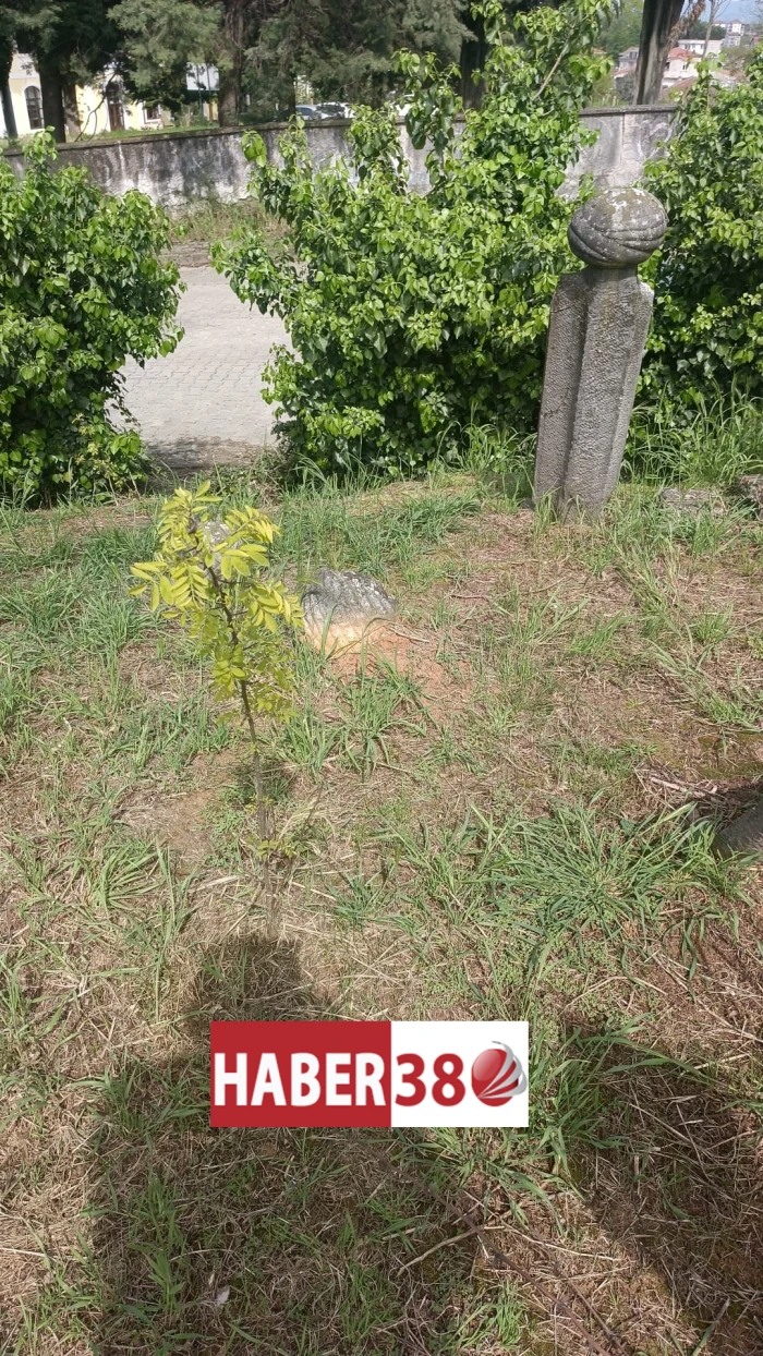 G&ouml;r&uuml;nt&uuml;l&uuml;) Ak&ccedil;akoca&rsquo;nın Tarihi Mirası Sessizliğe Terk Edildi