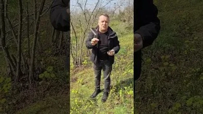 (G&ouml;r&uuml;nt&uuml;l&uuml;) BAŞKAN ABANOZ, FINDIK REKOLTESİ İ&Ccedil;İN BAH&Ccedil;EDE KONUŞTU