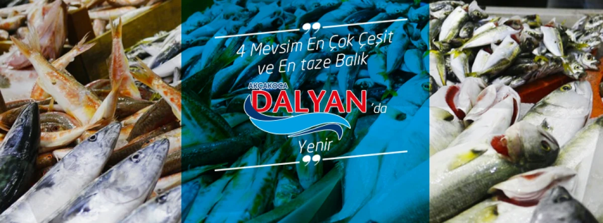 (G&ouml;r&uuml;nt&uuml;l&uuml;) Lezzetin ve Manzaranın Buluşma Noktası: Ak&ccedil;akoca Dalyan Misafirlerini Bekliyor