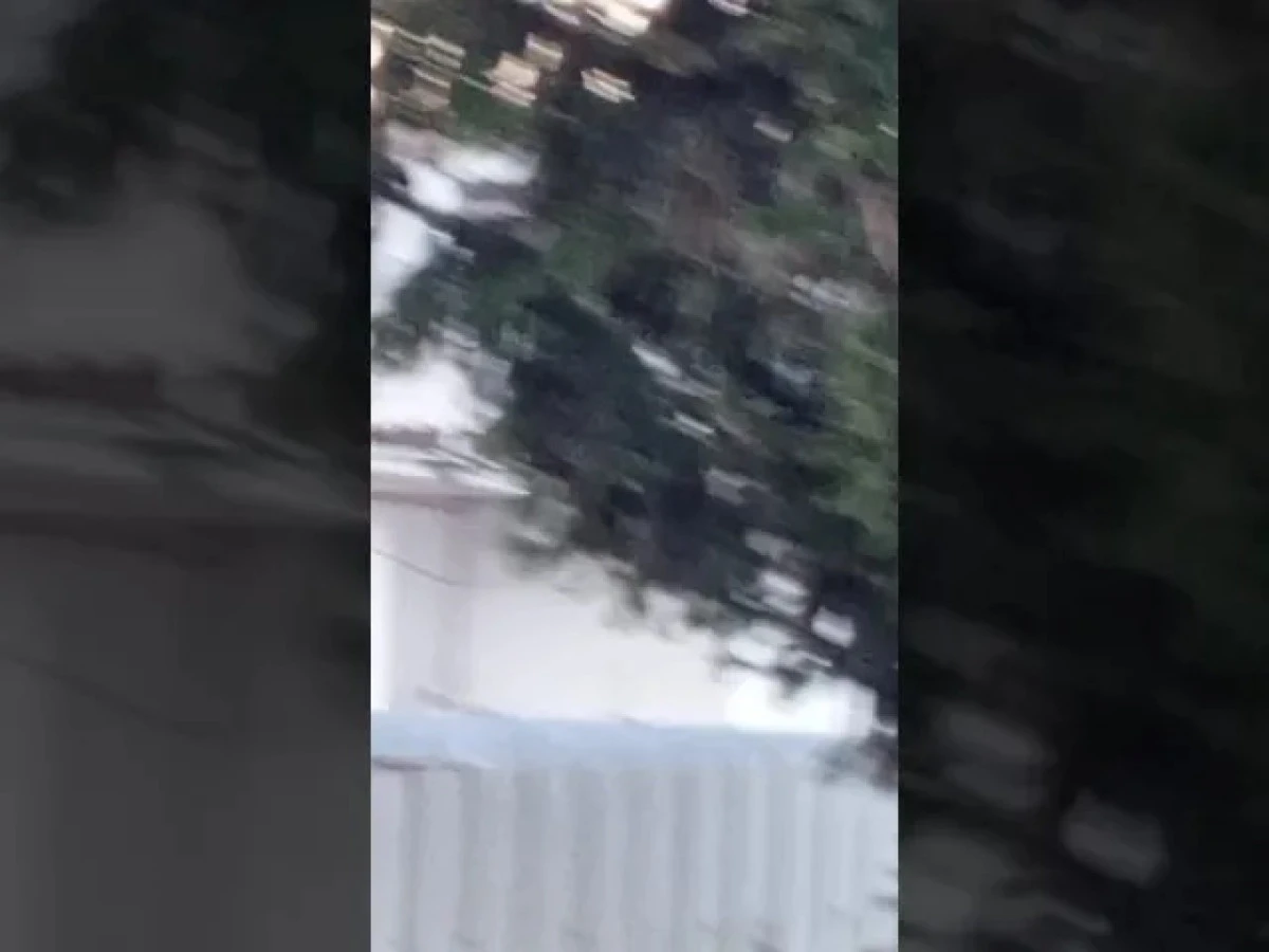 (G&ouml;r&uuml;nt&uuml;l&uuml;) MAHALLELİ ŞİKAYET&Ccedil;İ