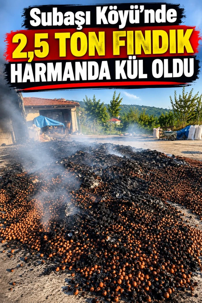 (G&ouml;r&uuml;nt&uuml;l&uuml;) &Ouml;ZER PETEKLİ&rsquo;YE AİT FINDIĞIN HARMANDA KUNDAKLANDIĞI İDDİA EDİLDİ