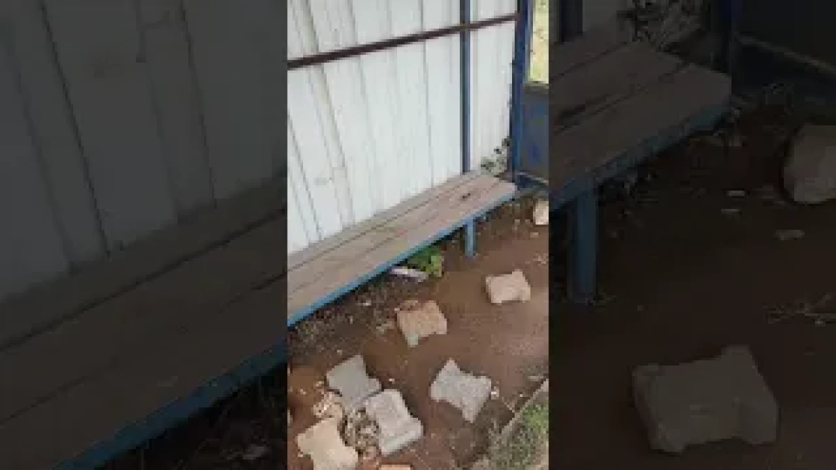 (G&ouml;r&uuml;nt&uuml;l&uuml;)Ak&ccedil;akoca Ayazlı Mahallesi&rsquo;nde Durak &Ccedil;ilesi: