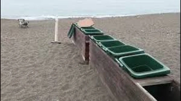 G&ouml;r&uuml;nt&uuml;l&uuml;)AK&Ccedil;AKOCA SAHİLİNDE BAKIMSIZLIK TEPKİ &Ccedil;EKİYOR