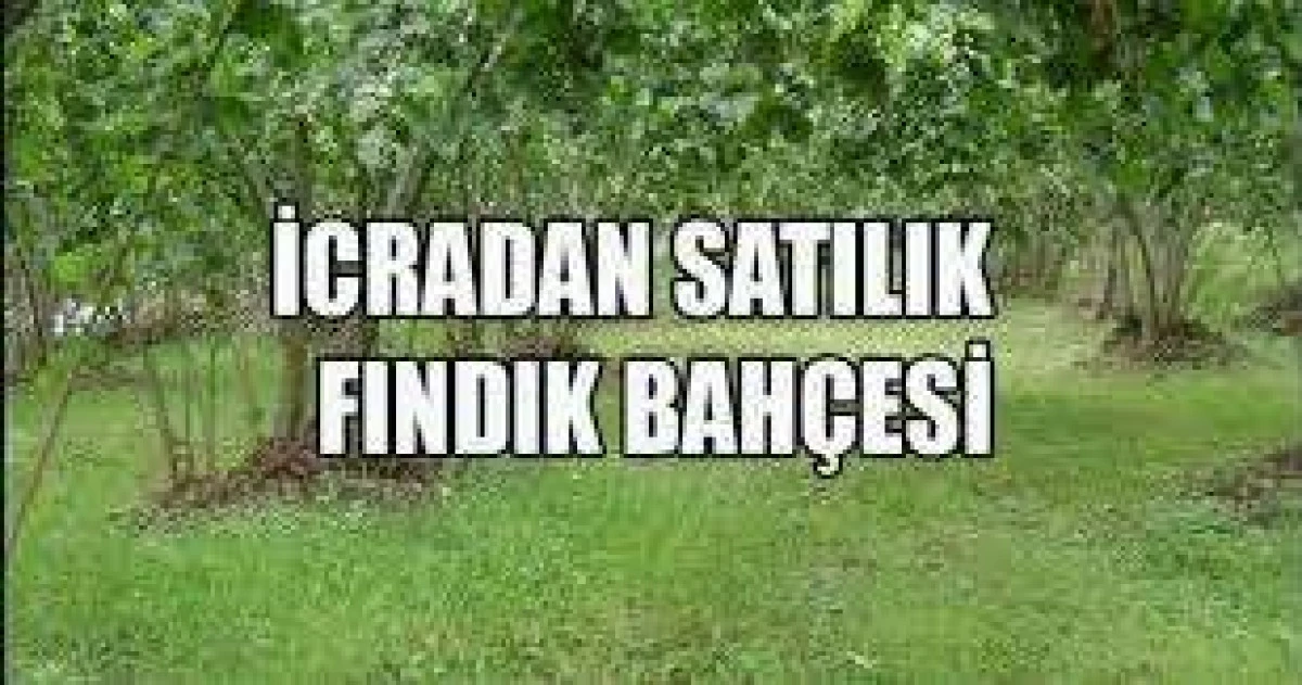İCRADA TARLA SATILIKTIR