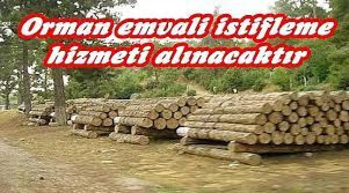İstifleme hizmeti alınacak