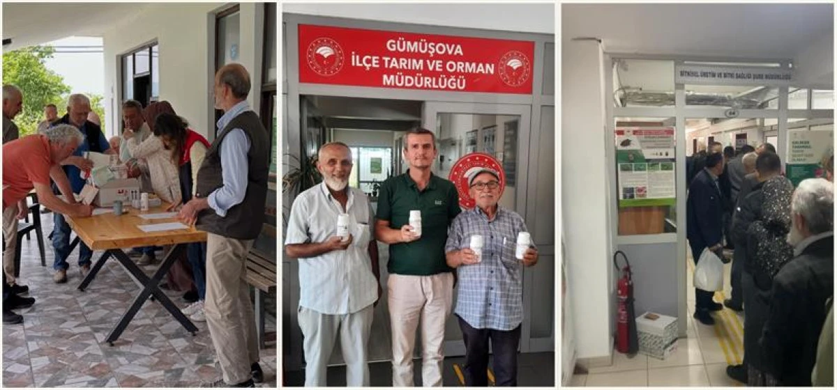 KAHVERENGİ KOKARCA İLE M&Uuml;CADELE &Ccedil;ALIŞMALARI ARALIKSIZ S&Uuml;R&Uuml;YOR