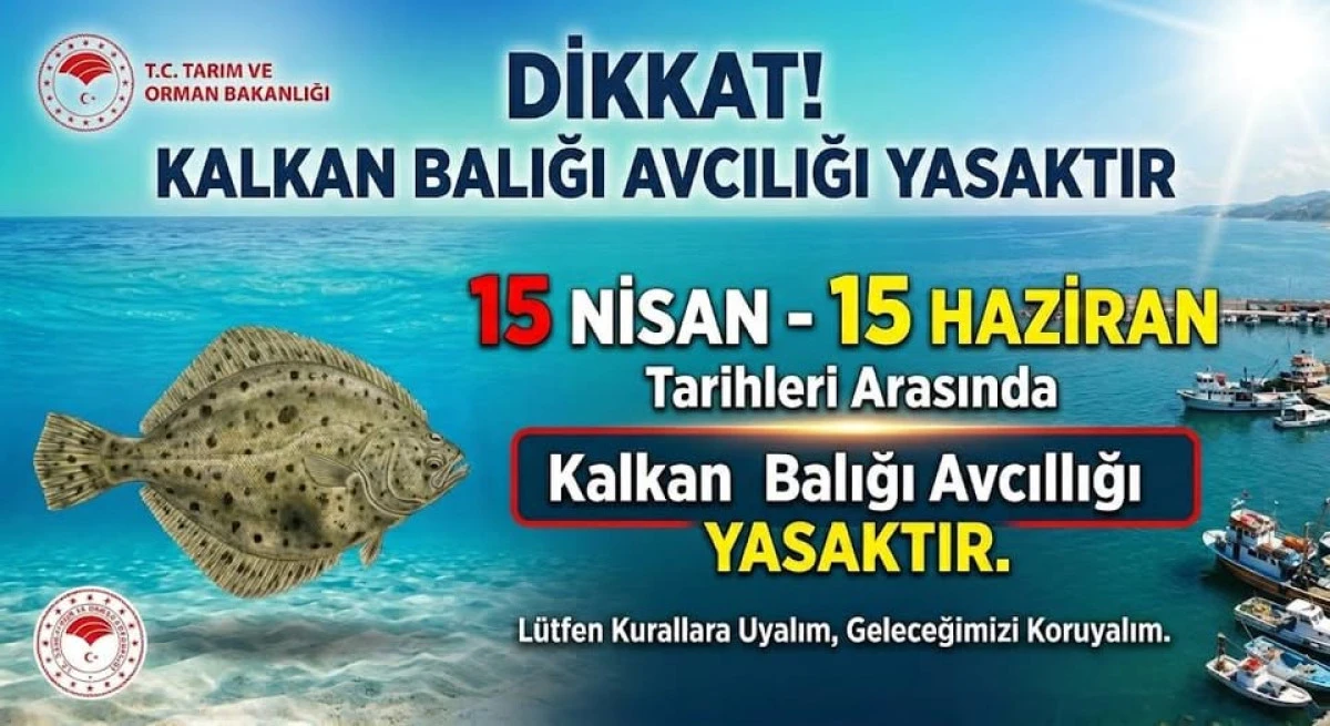 Kalkan Balığı Avcılarına &Ouml;nemli Uyarı: Yasak D&ouml;nemi Başlıyor!
