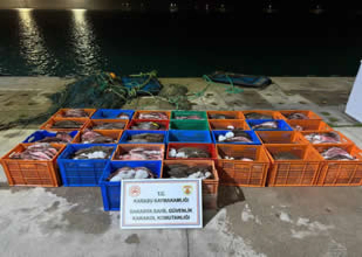 KALKAN BALIKLARINA EL KONDU