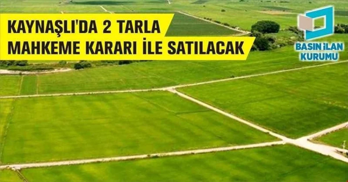 Kaynaşlı'da 13.673,67 m&sup2; taşınmaz mahkemeden satılıktır