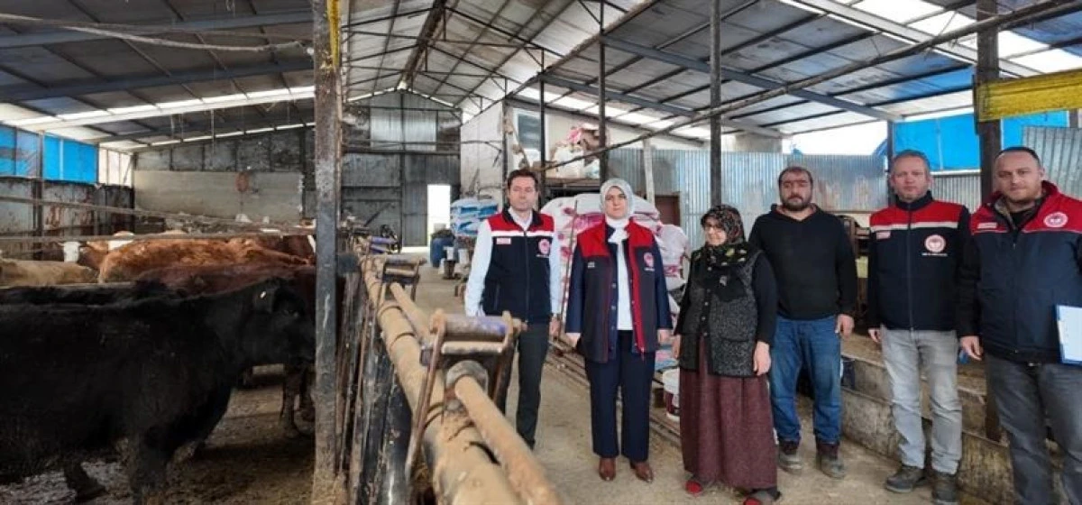 KIRSALDA BEREKET, HAYVANCILIĞA DESTEK PROJESİ&rdquo; MEYVELERİNİ VERMEYE BAŞLADI