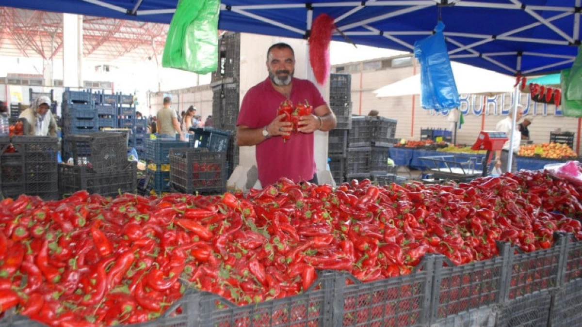 Kışlık telaşı Ak&ccedil;akoca yı sardı!