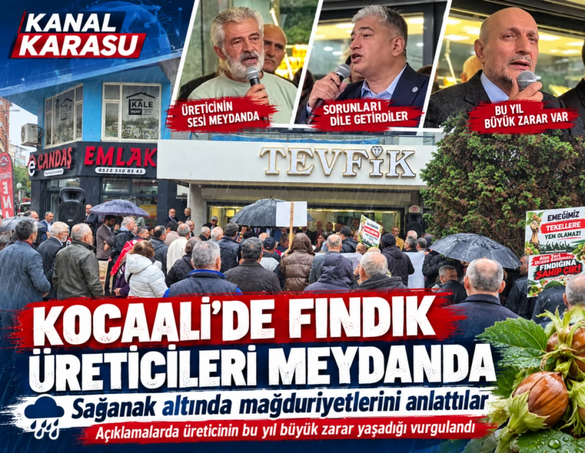 KOCAALİ&rsquo;DE FINDIK &Uuml;RETİCİLERİ MEYDAND