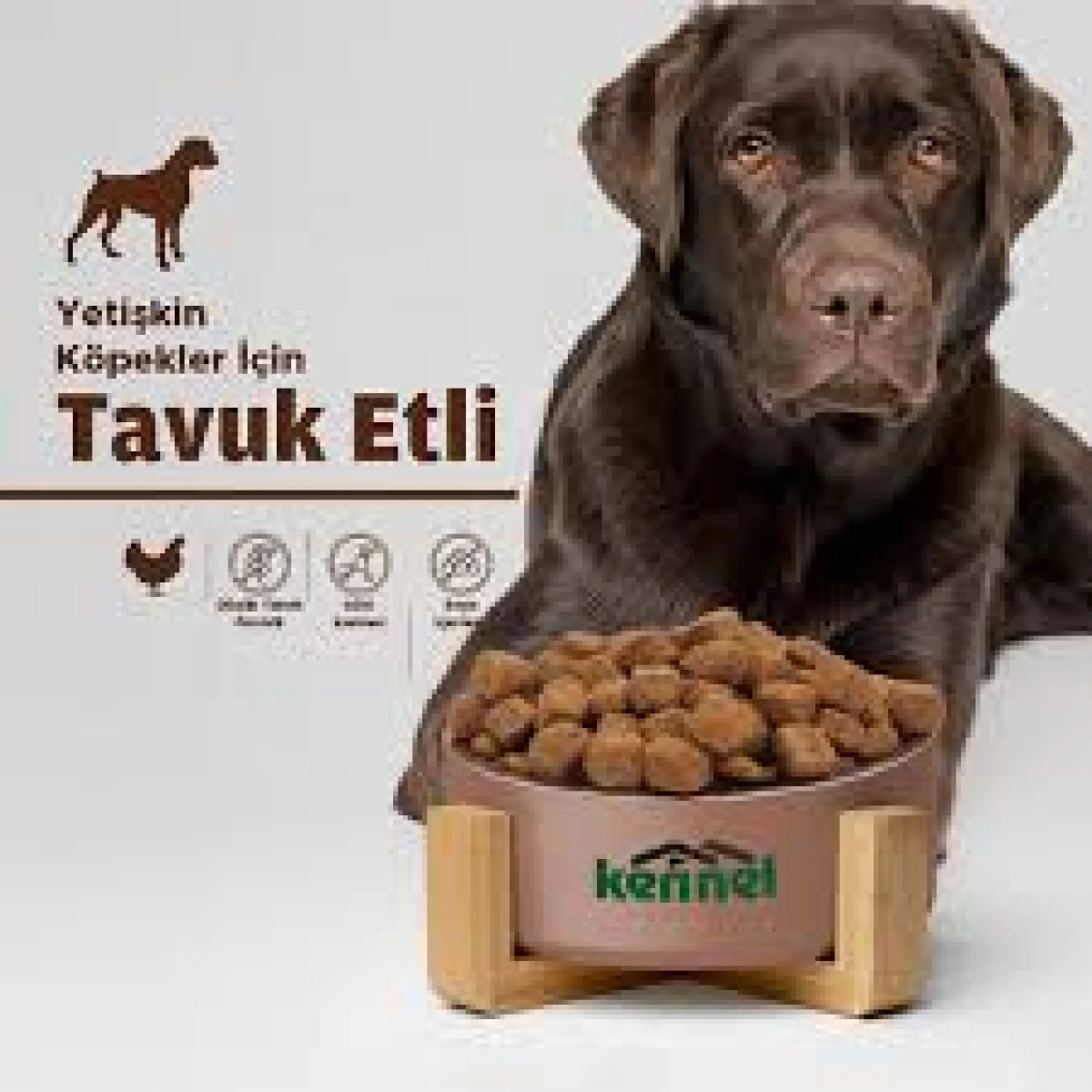 K&ouml;pek maması alınacak