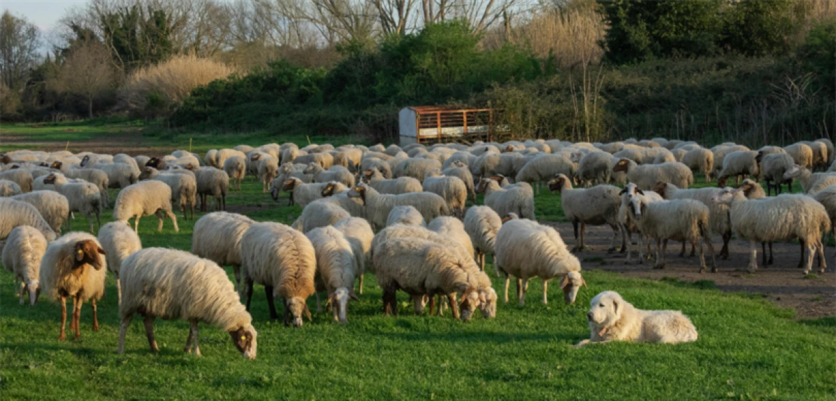 K&Uuml;&Ccedil;&Uuml;KBAŞA DESTEK PROJESİNDE BAŞVURULAR BAŞLADI