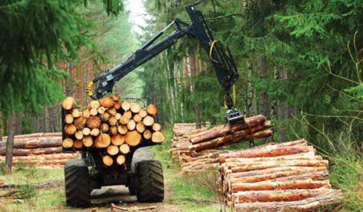 Orman emvali depolama hizmeti alınacaktır