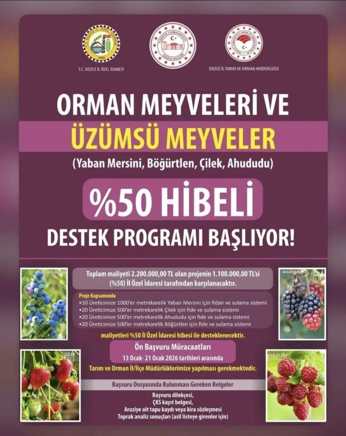 ORMAN MEYVELERİ VE &Uuml;Z&Uuml;MS&Uuml; MEYVELER