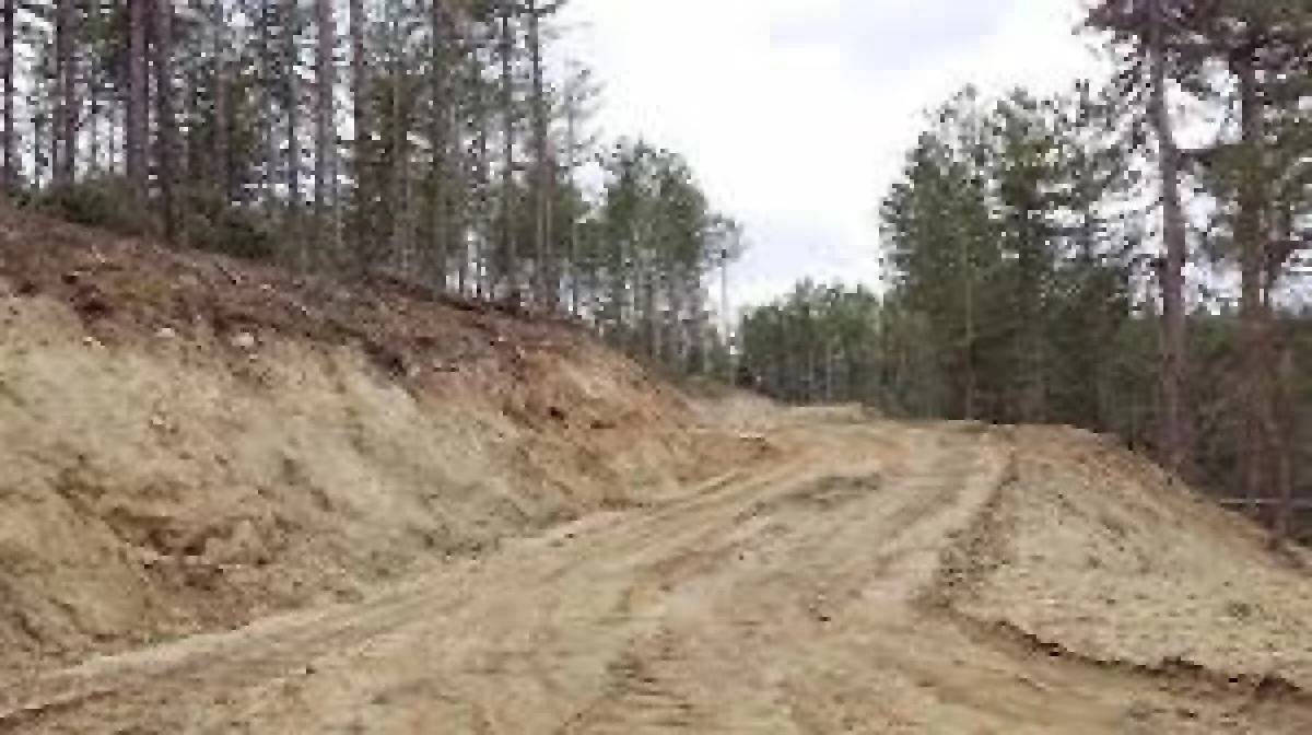 Orman yolu onarımı yaptırılacak