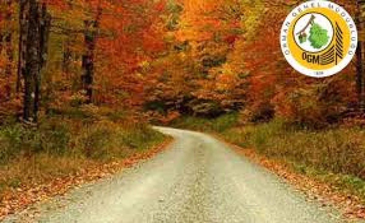 Orman yolu onarımı yaptırılacak