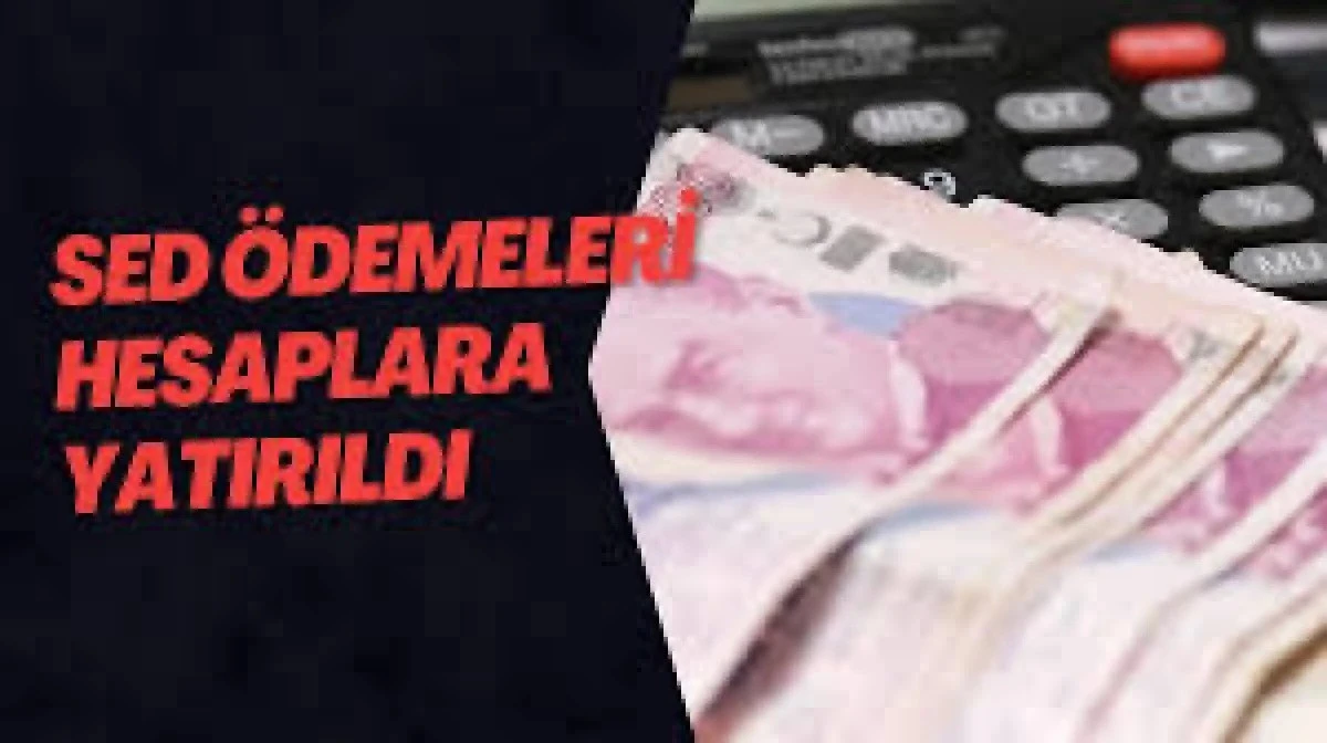SED &Ouml;DEMLERİ HESAPLARA GE&Ccedil;Tİ