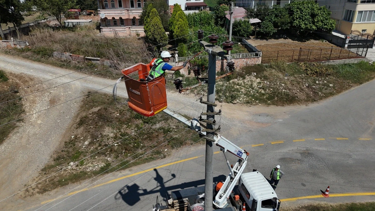 SEDAŞ&rsquo;tan G&ouml;&ccedil;men Kuşların G&uuml;venliği İ&ccedil;in Koruyucu Saha &Ccedil;alışmaları