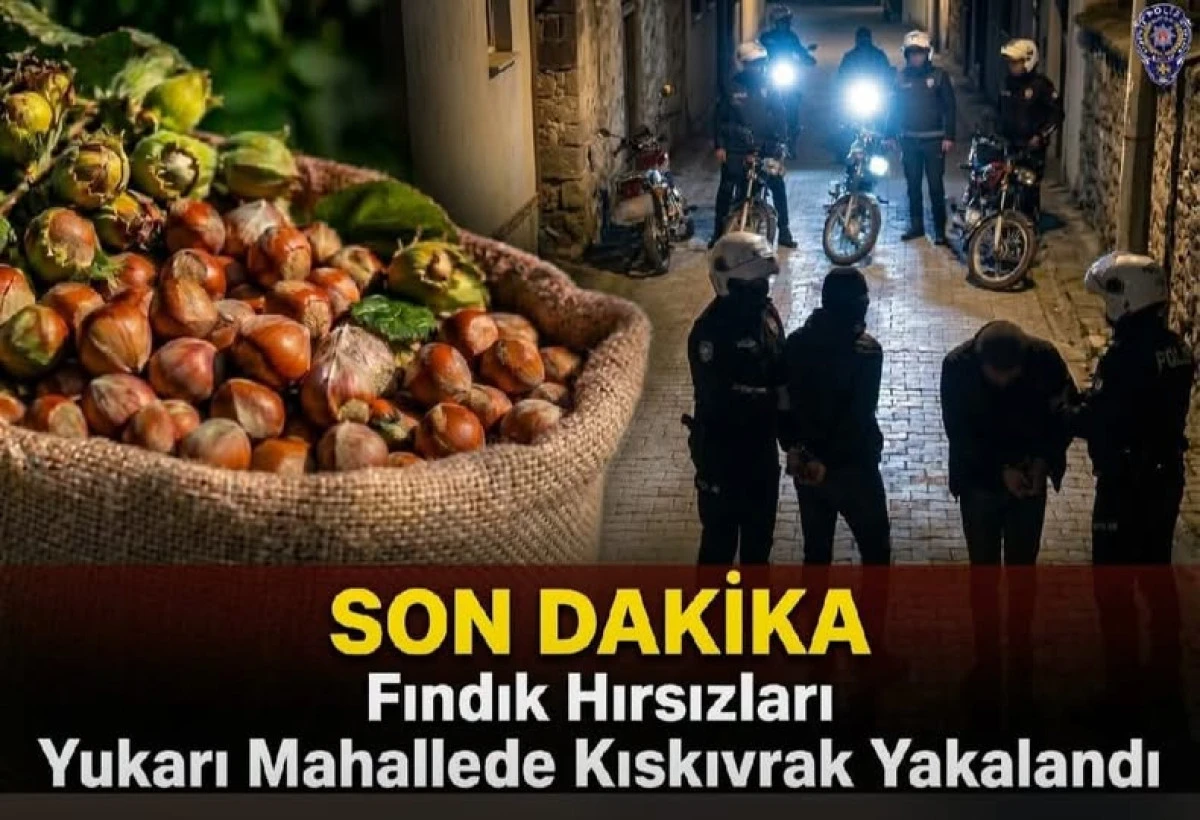 SON DAKİKA: Fındık Hırsızları Yukarı Mahalle&rsquo;de Kıskıvrak Yakalandı