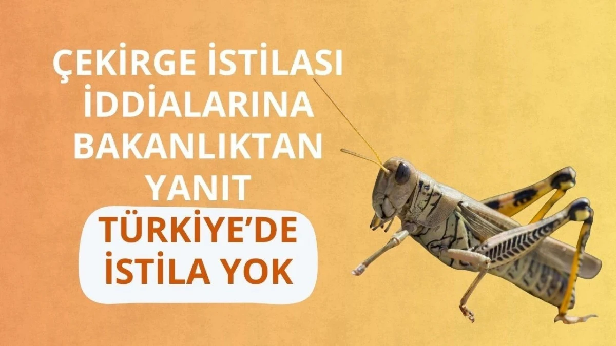 TARIM VE ORMAN BAKANLIĞI: T&Uuml;RKİYE&rsquo;DE &Ccedil;EKİRGE İSTİLASI YOK