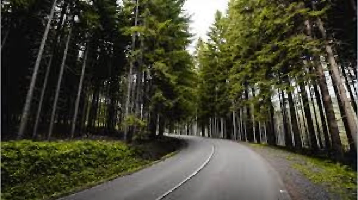 Tesviye ve &uuml;st yapı işleri yaptırılacak