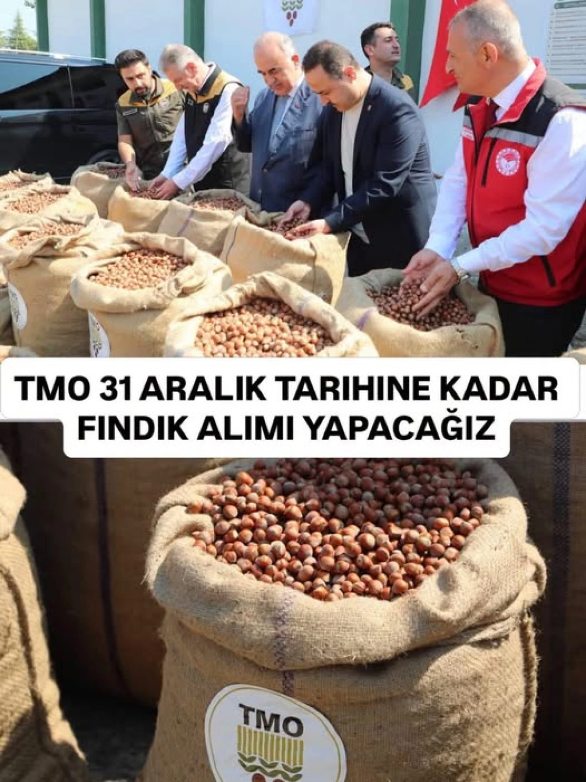 TMO Fındık Alımlarında Son Tarih 31 Aralık 2026