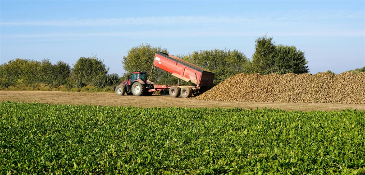 T&Uuml;RKŞEKER'İN ŞEKER PANCARI ALIM FİYATI TON BAŞINA 3 BİN 720 LİRA OLARAK BELİRLENDİ