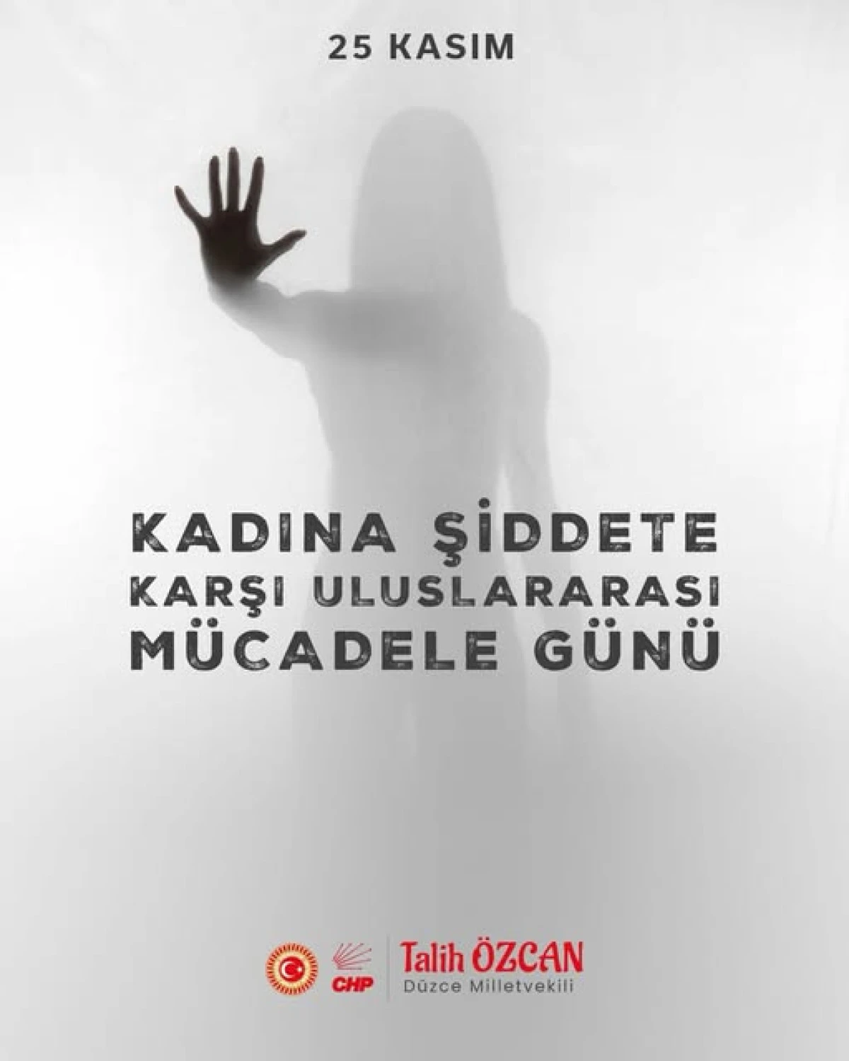 Vekil Talih Özcan:Şiddetin karşısında, kadınların yanındayız
