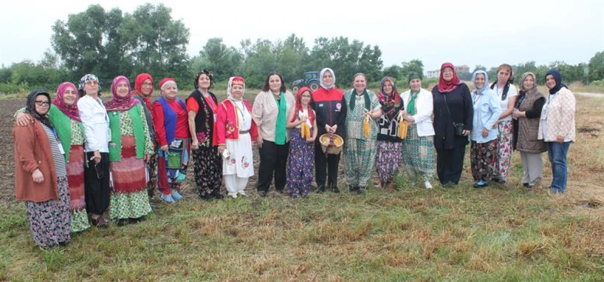 YERLİ MISIR TOHUMLARI TOPRAKLA BULUŞTURULDU