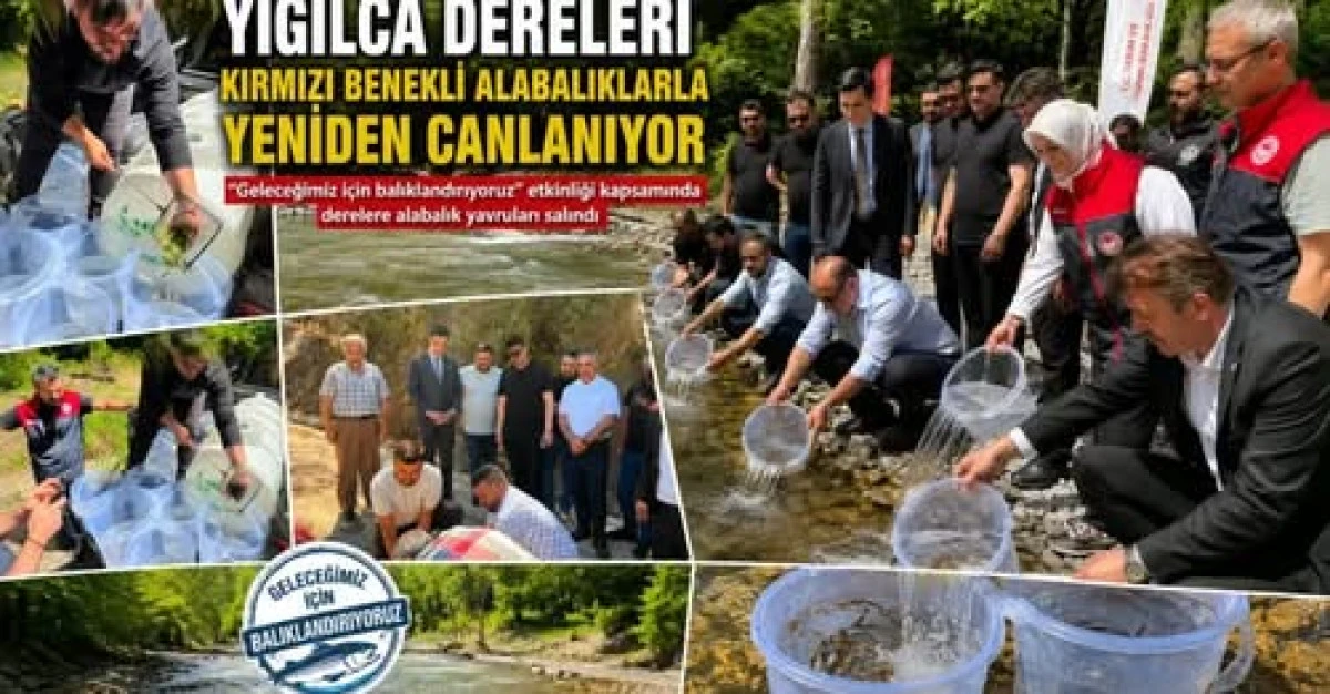 Yığılca Derelerine Hayat Veren Dokunuş
