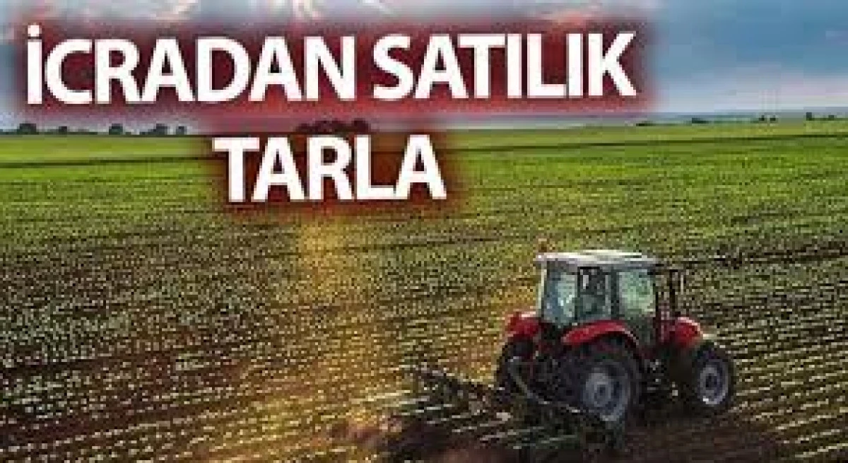 Yığılca il&ccedil;esinde tarla icradan satılacaktır 