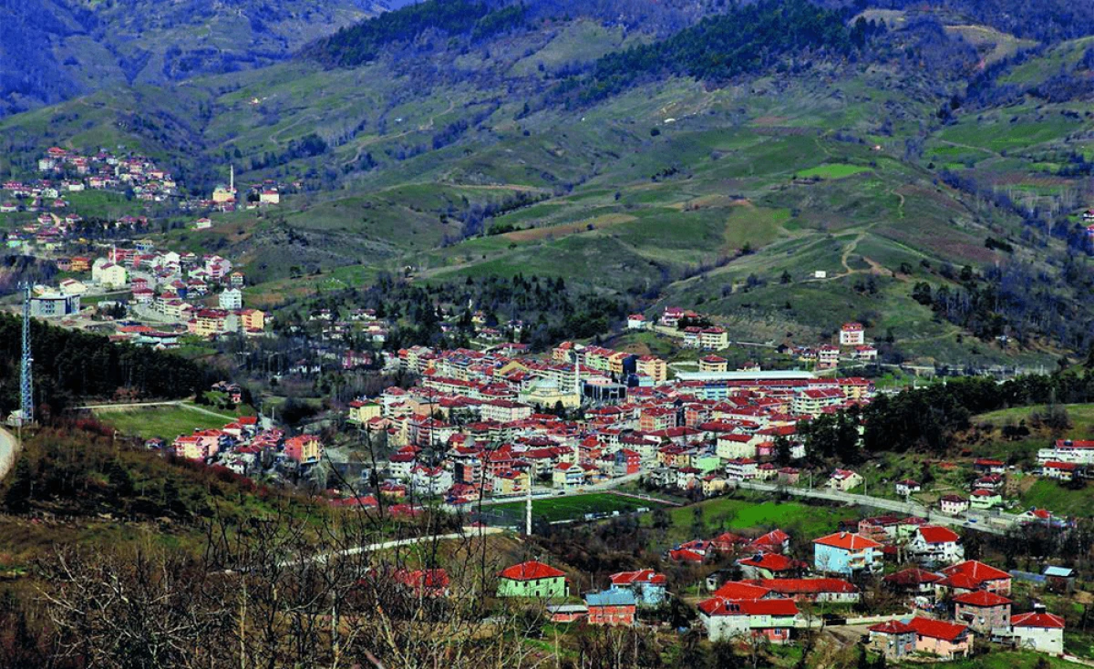 Yığılca'da kargir ev ve bah&ccedil;esi icradan satılacak